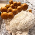 Mix