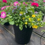 Planter Mix 2