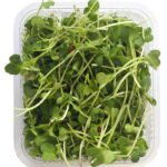 Radish Microgreens
